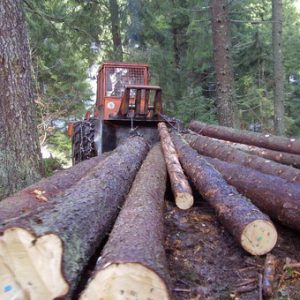 Од продаје дрвних сортимената 450.000 марака Од продаје дрвних сортимената 450.000 марака