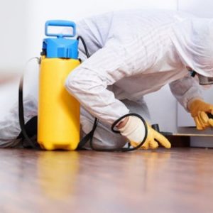 Прољећна дератизација почиње 27. марта Прољећна дератизација почиње 27. марта