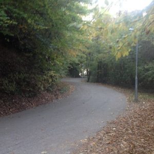 ЛЕД расвјета на путу за Бањ брдо ЛЕД расвјета на путу за Бањ брдо