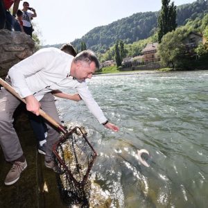 Први пут порибљавање Врбаса младицом