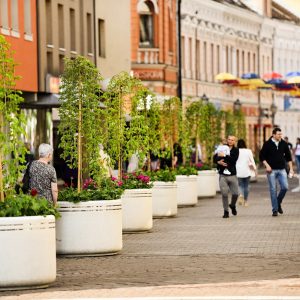 Покретни дрворед уљепшао центар града Покретни дрворед уљепшао центар града