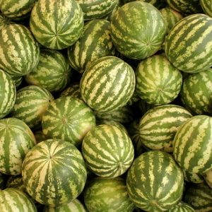 У понуди 38 локација за продају печеног кукуруза и лубеница У понуди 38 локација за продају печеног кукуруза и лубеница