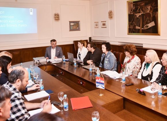  Одржано и више састанака са стручном јавношћу