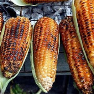 Утврђена ранг листа понуђача за продају печеног и куваног кукуруза Утврђена ранг листа понуђача за продају печеног и куваног кукуруза