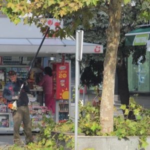 Издвојено из „Грађанске патроле“: Орезивање крошњи у више улица