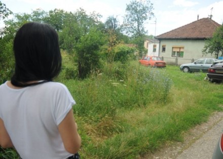  Фото илустрација