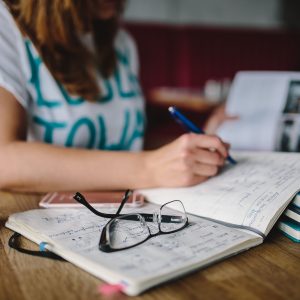 Пријаве за подстицаје до 13. јула: Почеле обуке за израду бизнис плана Пријаве за подстицаје до 13. јула: Почеле обуке за израду бизнис плана