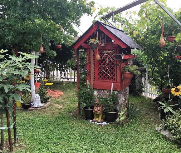  Најуређеније двориште