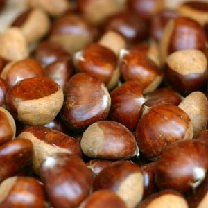 Јавни глас о додјели локација за продају кестења