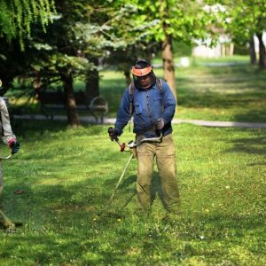 Издвојено из „Грађанске патроле“: Треће кошење у Обилићеву до краја седмице