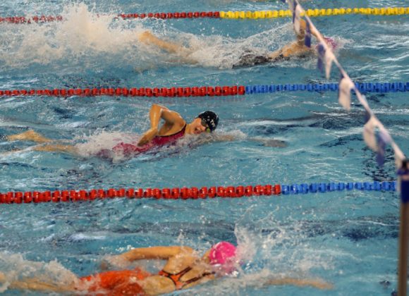  Фото илустрација