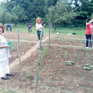 Бања Лука добија градску башту