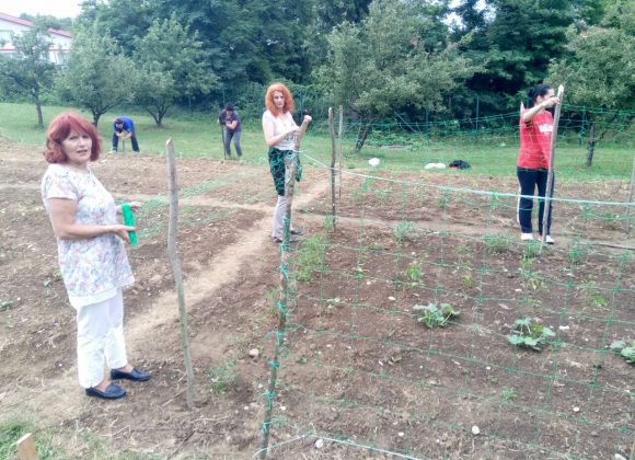  Foto: Udruženje ″Gradske bašte″