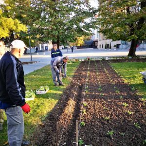Садња сезонског цвијећа у градским цвијетњацима
