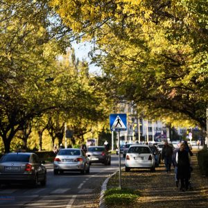 Јесење уређење до краја седмице: Изнесите крупни отпад!