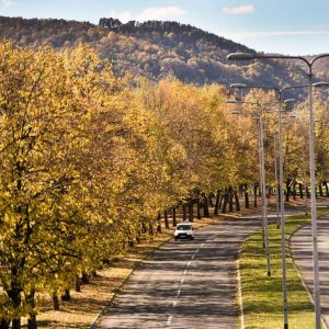 Jesenje uređenje grada: Sakupljeno preko 420 tona otpada Jesenje uređenje grada: Sakupljeno preko 420 tona otpada