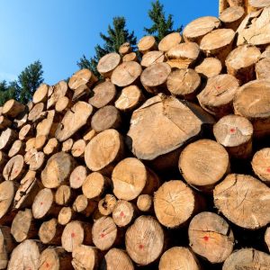 250.000 KM za „Park šume“ i lokalne puteve