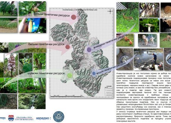  Прва фаза попис (пано)
