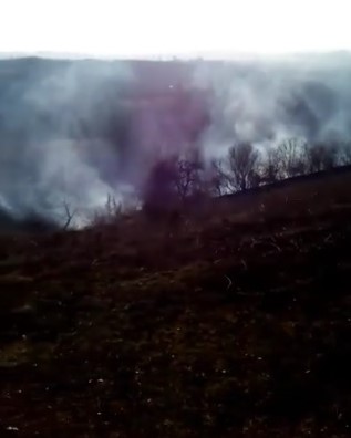  Пожар ниског растиња, 21.2. Доња Пискавица