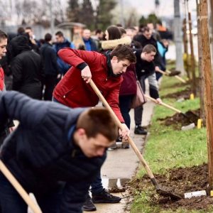 Засађено 114 стабала: Нова „Алеја матураната“ уљепшала Лазарево Засађено 114 стабала: Нова „Алеја матураната“ уљепшала Лазарево