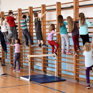 До петка пријаве спортских организација за суфинансирање чланарина До петка пријаве спортских организација за суфинансирање чланарина