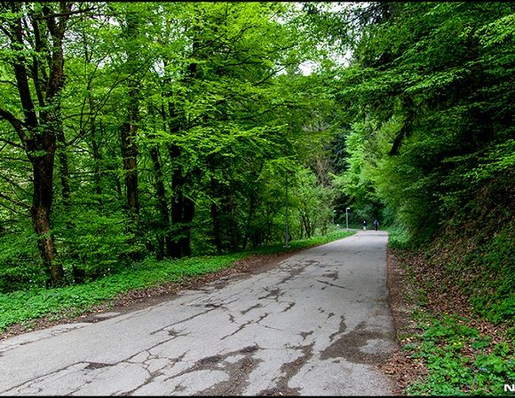 Фото: архива