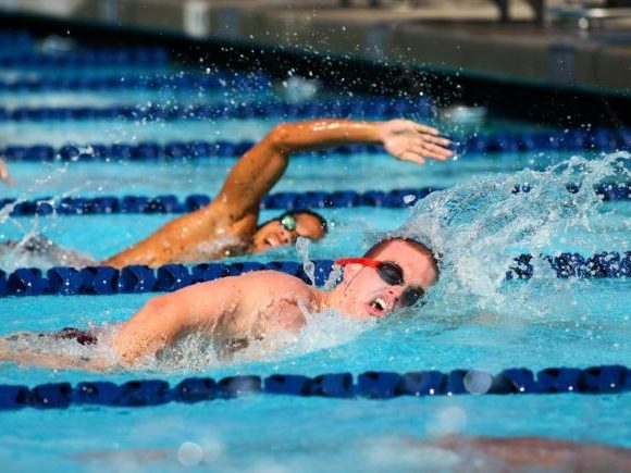  Фото: архива