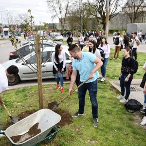 „Зелени град“: У Лазареву нова „Алеја матураната“ „Зелени град“: У Лазареву нова „Алеја матураната“