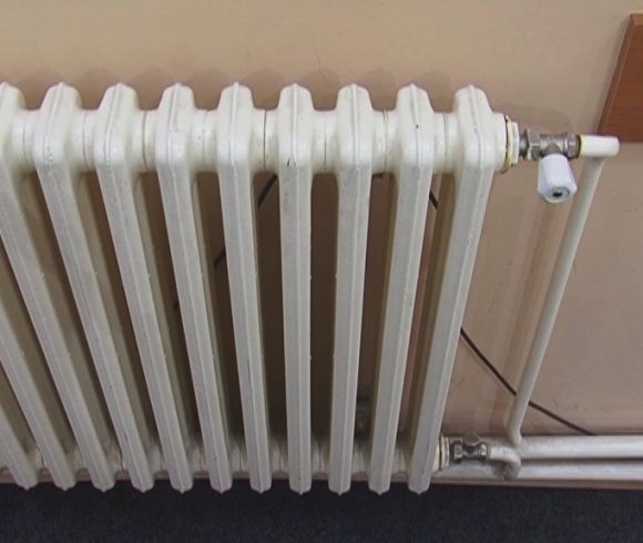  Фото: архива