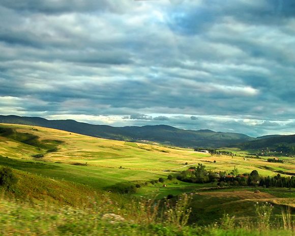  Фото: архива