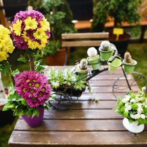 „Бирамо најуређеније“: Побједнике очекују вриједне награде „Бирамо најуређеније“: Побједнике очекују вриједне награде