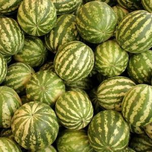 Расписан јавни оглас: У понуди 23 локације за продају лубеница