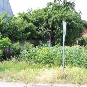 Оштрија контрола запуштених дворишта Оштрија контрола запуштених дворишта