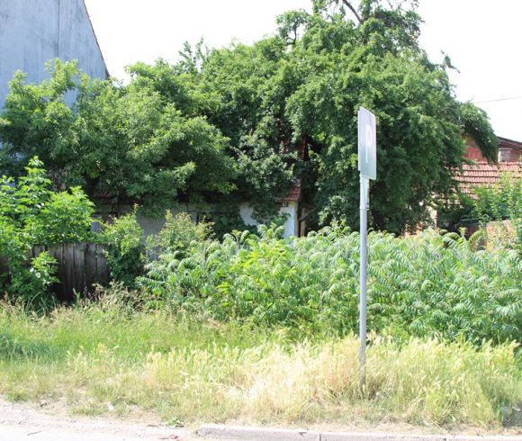  Фото: архива