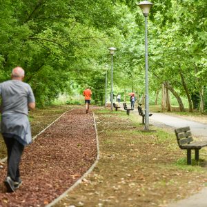 Нова трим стаза уз Врбас Нова трим стаза уз Врбас