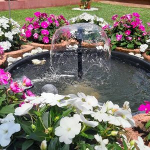 „Бирамо најуређеније“: При крају обилазак дворишта „Бирамо најуређеније“: При крају обилазак дворишта