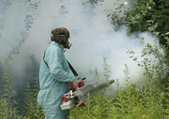  Фото илустрација 