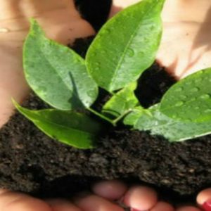 Позив пољопривредницима: Разговор о актуелним темама Позив пољопривредницима: Разговор о актуелним темама