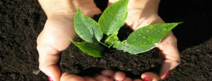  Фото илустрација