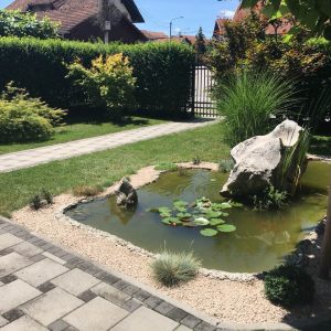 „Бирамо најуређеније“: 35 пријава за најљепше двориште