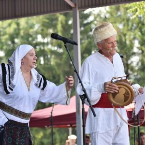 Народно зборовање у Стричићима