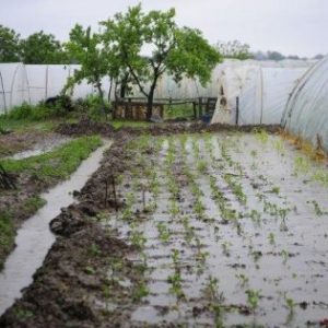 122.000 КМ за штете од поплава 122.000 КМ за штете од поплава