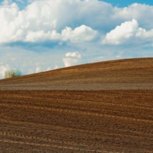 Расписан позив: 200.000 КМ за побољшање квалитета земљишта