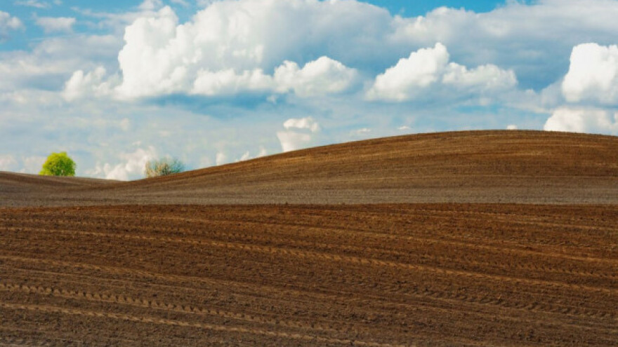  Фото илустрација