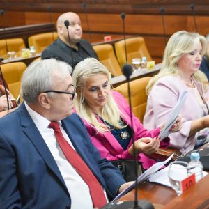 Невена Тодоровић на челу Дома здравља Невена Тодоровић на челу Дома здравља