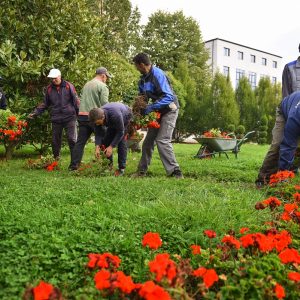 10.000 цвјетова за љепши град