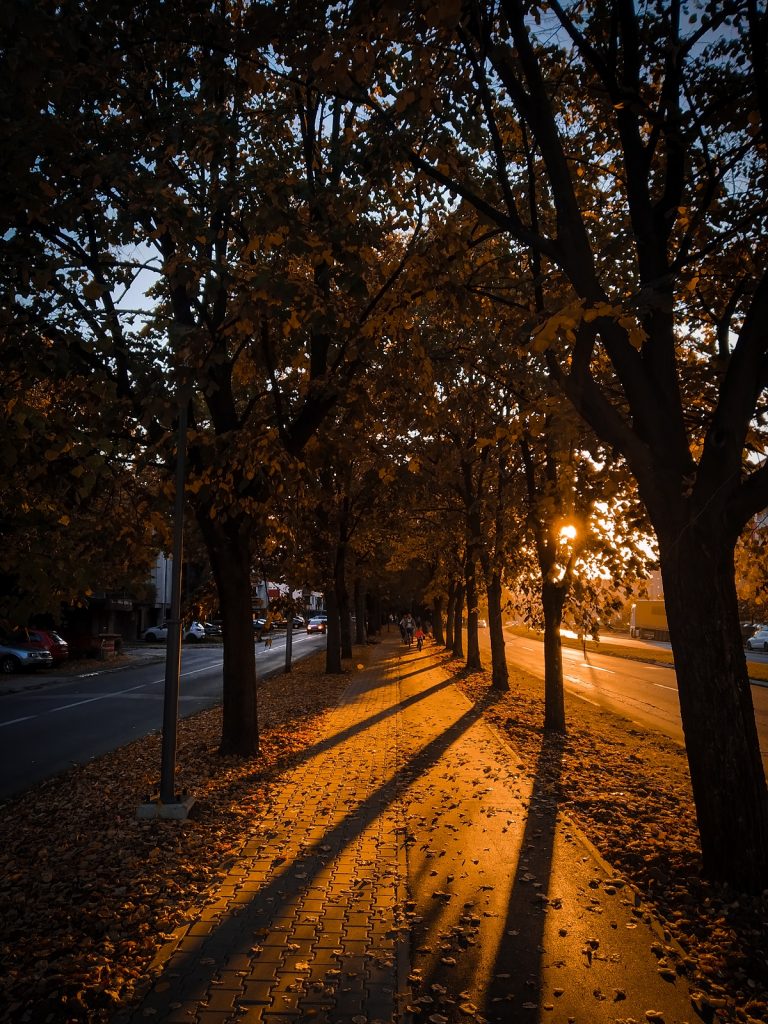  Трећепласирана фотографија