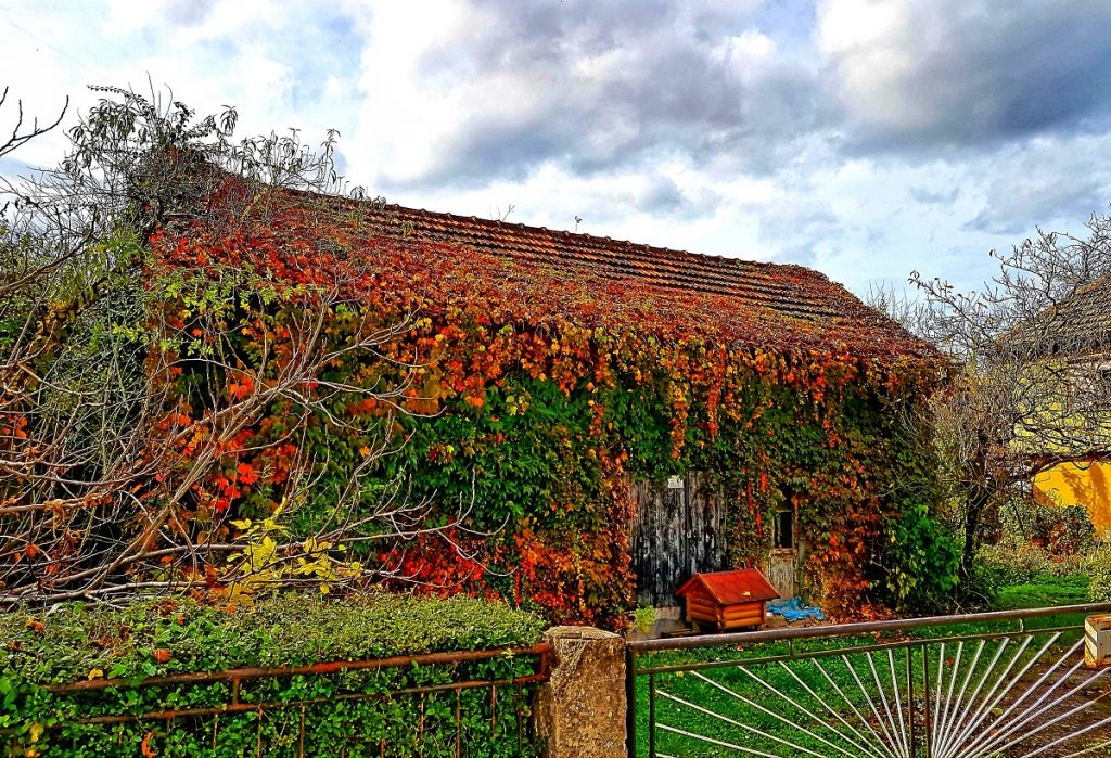  Другопласирана фотографија