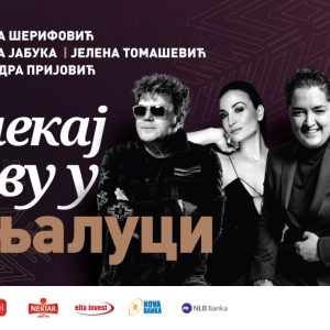 Све спремно за новогодишњу прославу Све спремно за новогодишњу прославу