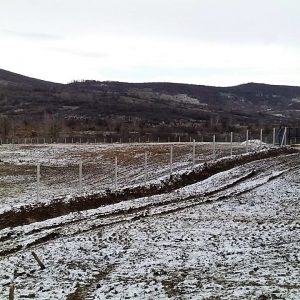 При крају изградња сточног гробља на Мањачи При крају изградња сточног гробља на Мањачи